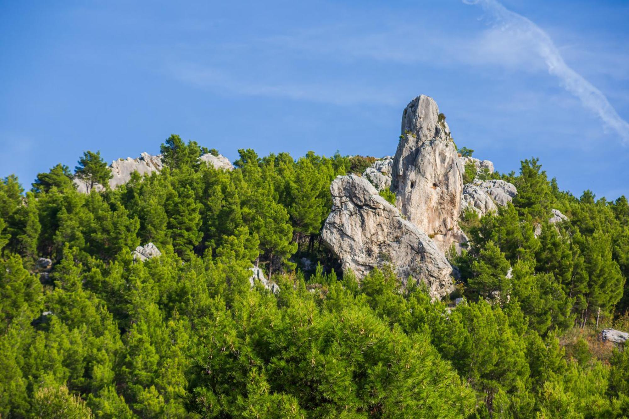 Apartmani Lovrenco Krvavica Dış mekan fotoğraf